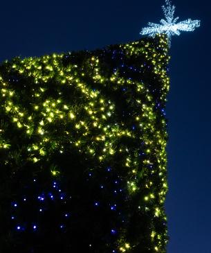 christmas tree