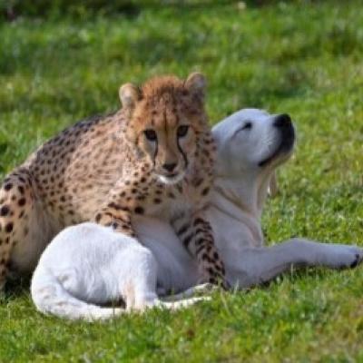 A young Misi and Cash