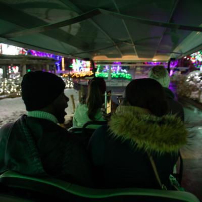 golf cart POV