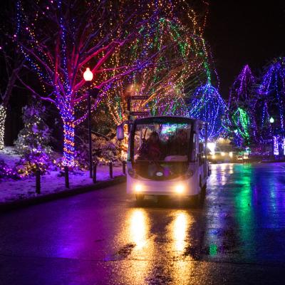 Golf cart and holiday lights