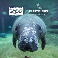 Manatee in background of Plastic Free Ecochallenge graphic
