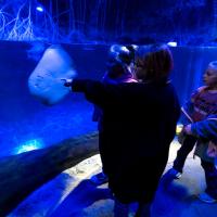 kids at the zoo overnight