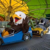 Character Ambassador at Columbus Zoo