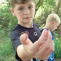 child holding crayfish at camp