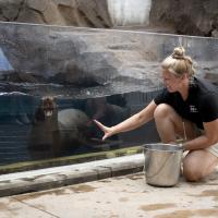 zookeeper training with sea lion