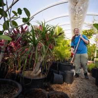 student working in greenhouse