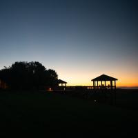 night time at The Wilds