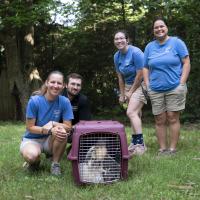zookeepers and hawk in carrier