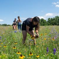people in pollinator gardens at The Wilds