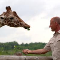 man offering food in hand to giraffe