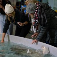 Guests at Stingray Bay at the Columbus Zoo