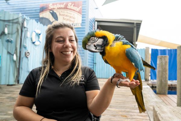 Zookeeper holding a macaw in their hand