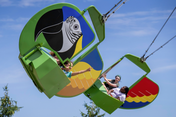 aerial amusement ride shaped like macaws