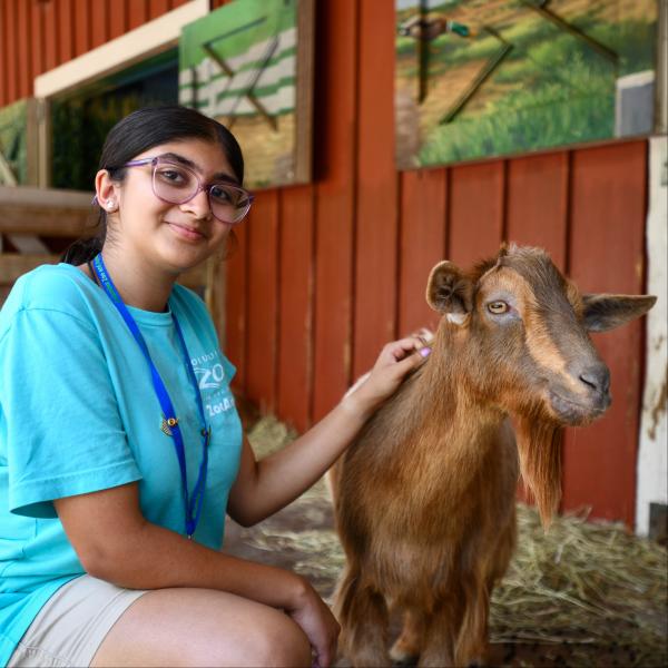 zoo volunteer with goat