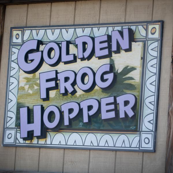 Golden Frog Hopper
