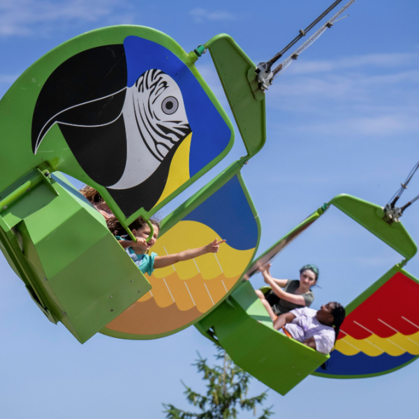 aerial amusement ride shaped like macaws