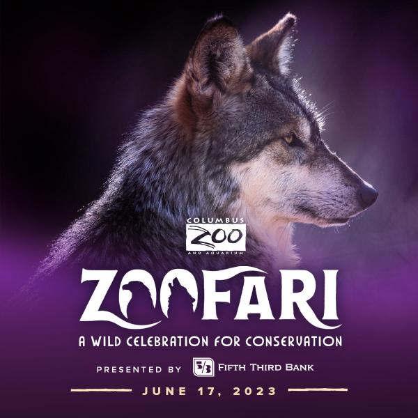 Zoofari Graphic