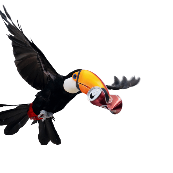 toucan holding soda can