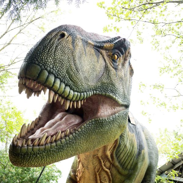 Animatronic Tyrannosaurus rex arrives at the Columbus Zoo