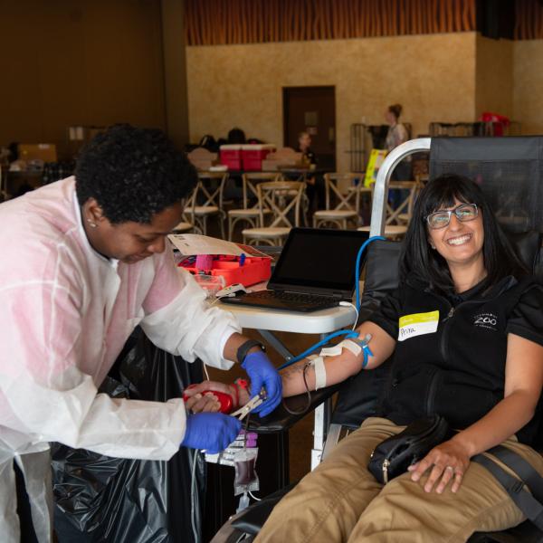 team member giving blood