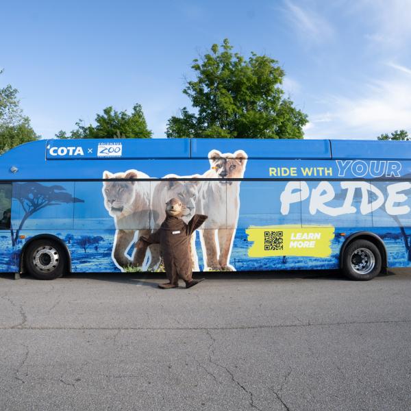 blue bus with zoo graphics